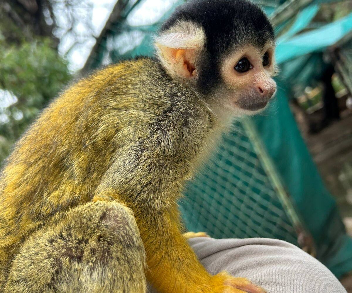 Albergue de Animales Rescatados