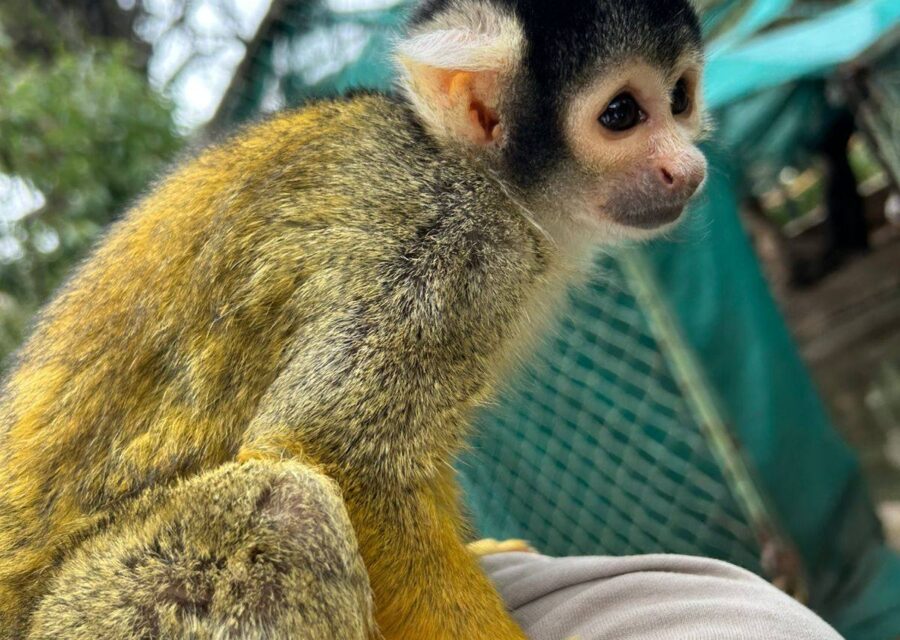 Albergue de Animales Rescatados