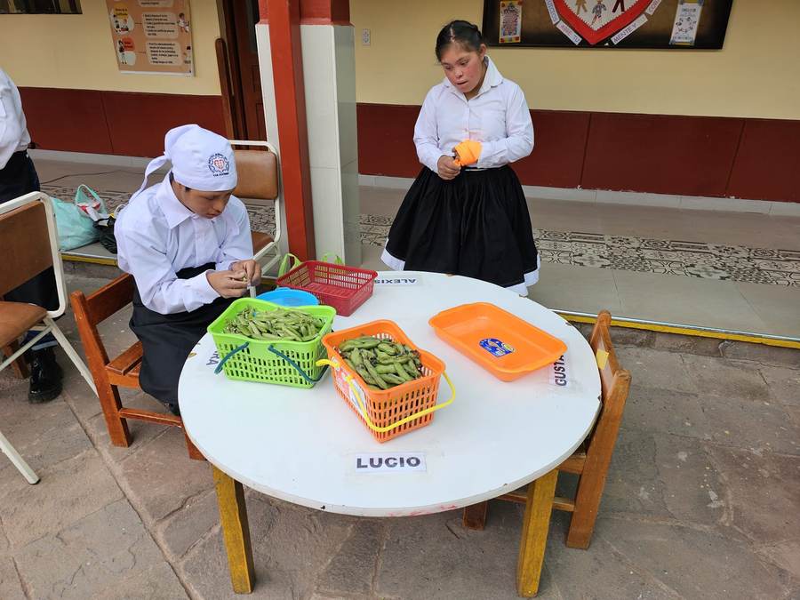 Colegio de Niños Especiales
