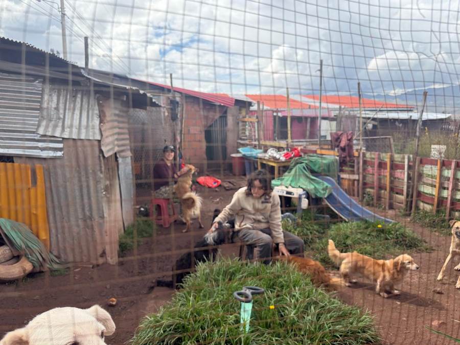 Refugio de Perros y Gatos