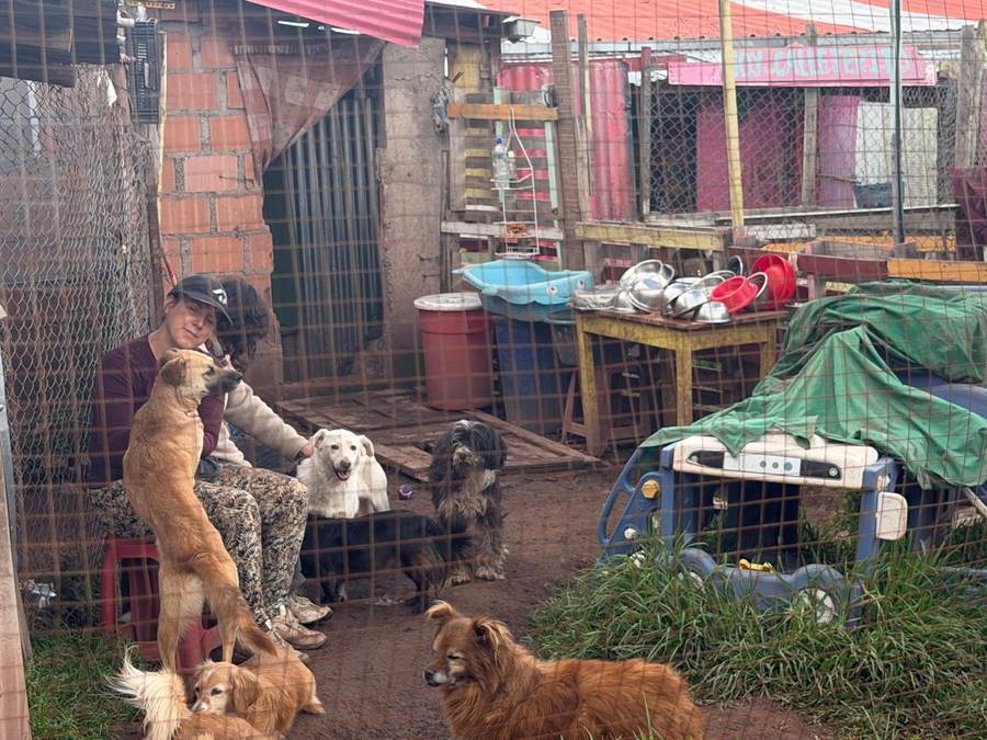 Refugio de Perros y Gatos