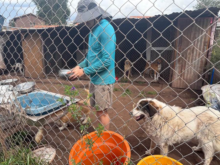 Refugio de Perros y Gatos