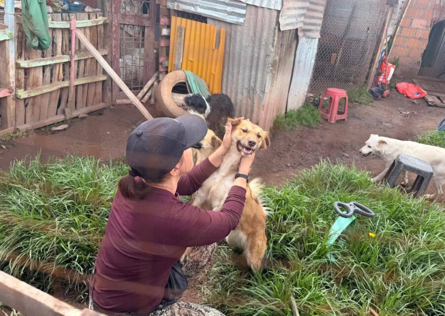 Refugio de Perros y Gatos