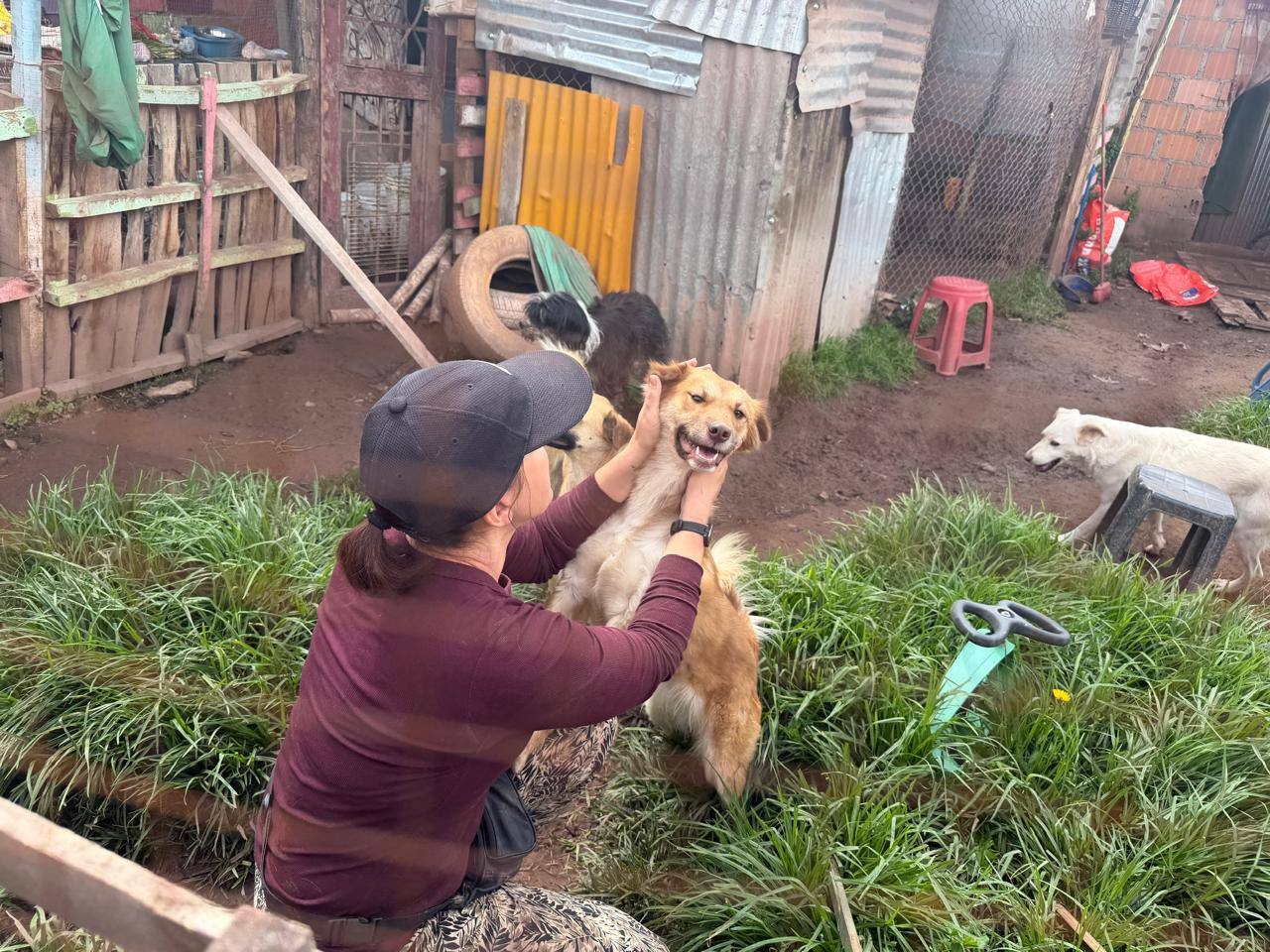 Refugio de Perros y Gatos